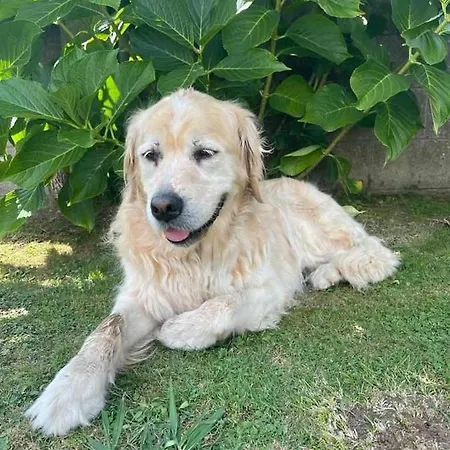 Сasa de vacaciones Grupo Gontad Casa Balsas