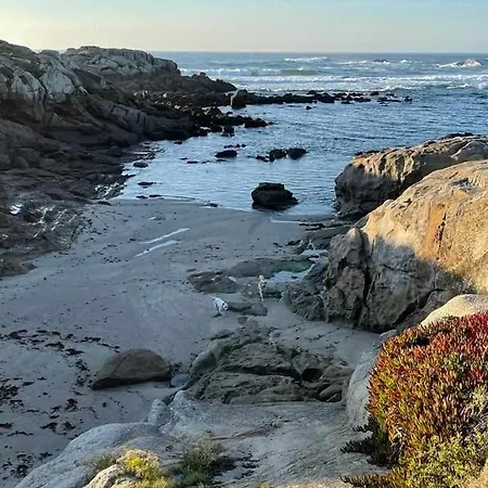 Grupo Gontad Casa Balsas