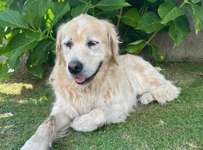 Holiday home Casa Balsas